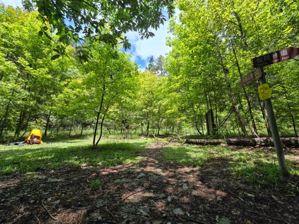 四大鳥山之首小劍山2773949