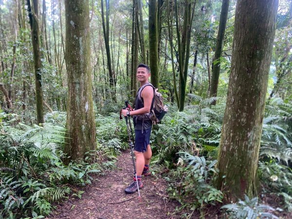新竹橫山.大崎棟古道.騎龍古道【二個古道走向二個截然不同的方向】2868737
