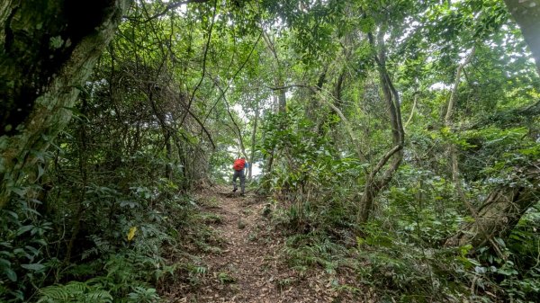 114.06.21大竹坑山-小粗坑山-石門山之旅2818872