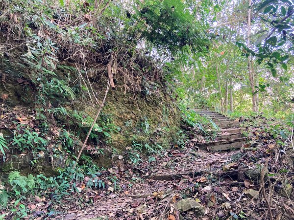 後尖山步道2683567