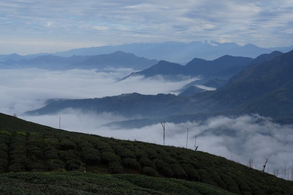 南投 鹿谷 大崙頭山、貓冬望山、樟空倫山、志騰山、竹崙山2993356