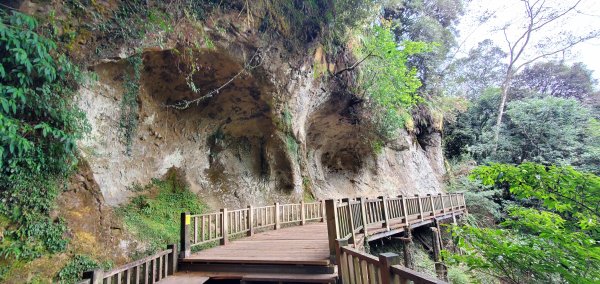 2023-01-01杉林溪青龍蕨類步道(青龍瀑布)、松瀧岩瀑布及天地眼步道1978889