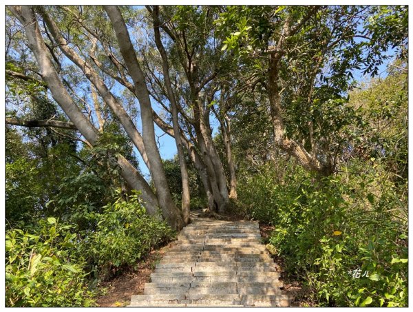 老崎古道、老崎坪頂山 (頭份)2737126