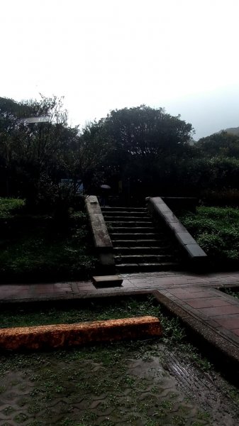 大屯山主峰步道1938097