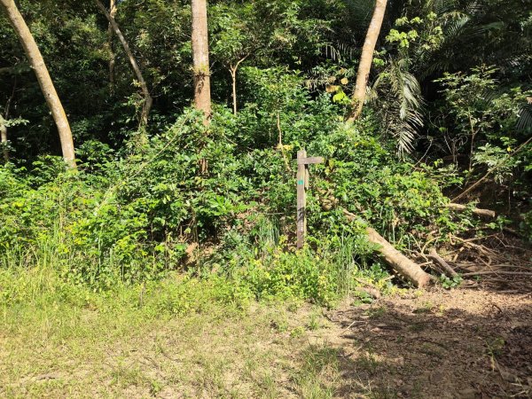 山海圳【大圳之路：第二段鳥山嶺水我古道 ⮕東3124363