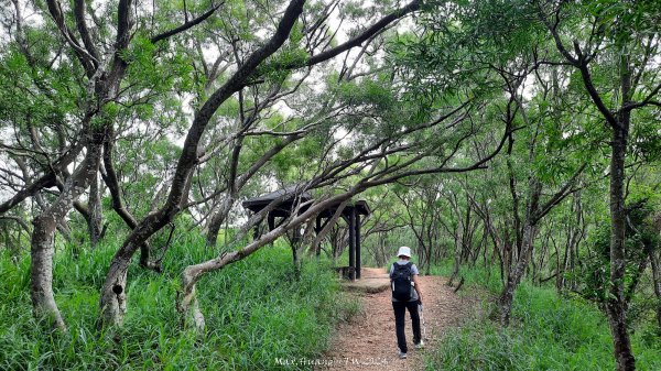 《台中》颱風前夕｜大肚環保公園登山步道(北段)202409292606722