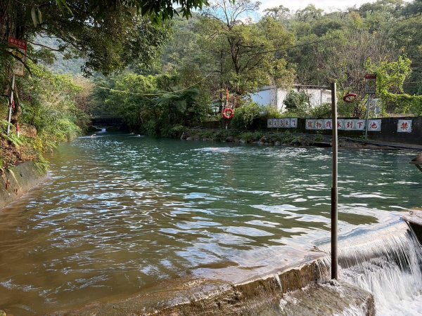 新北 汐止 柯子林橋-柯子林天然泳池-友蚋山南峰-友蚋山-新山-夢湖-柯子林橋2988371