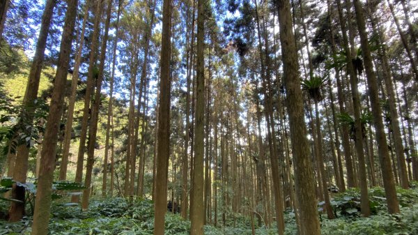 賽夏族區的向天湖山| Xiangtianhu |矮靈祭|峯花雪月2408457