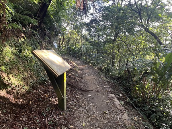 [山頂鳥40周年會員大縱走-08/15] 2024_0715 銀河洞越嶺登山步道2556756