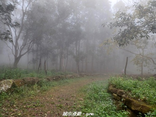 【台南。 南化】迷霧山徑。 小百岳集起來。 編號70小百岳~刣牛湖山登山步道1610472