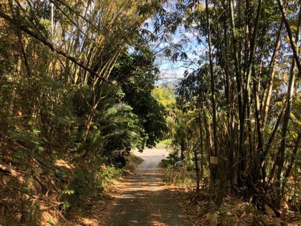 高雄市甲仙區小百岳69號白雲山（廓亭山）一等三角點及一等衛星控制點1984394