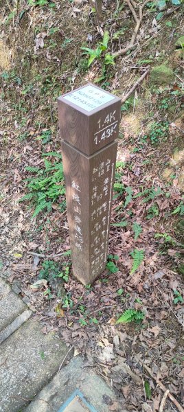 基隆紅淡山2701118