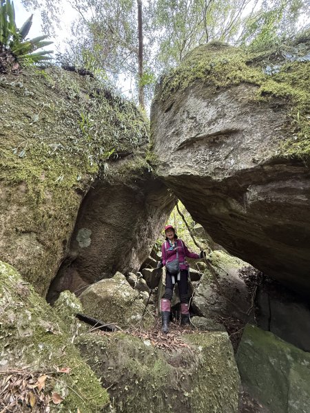 大坪祕境的奇岩2672543