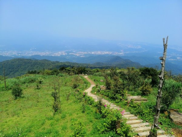 姜子寮山步道&姜子寮絕壁步道549611