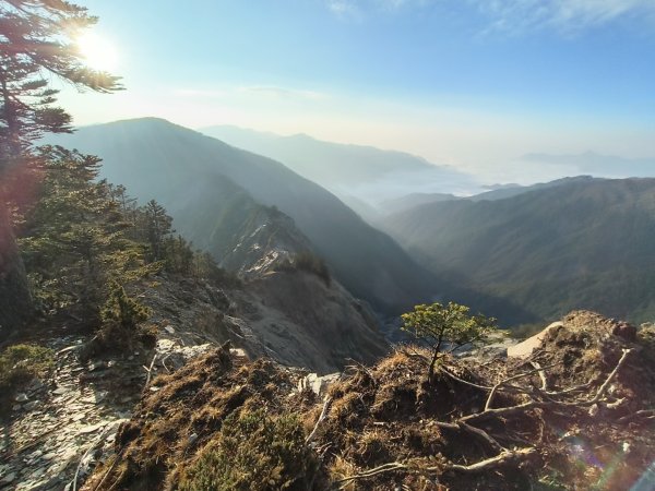 20240320 馬博8天縱走~第五天，馬里亞文路山，馬利加南山2471168