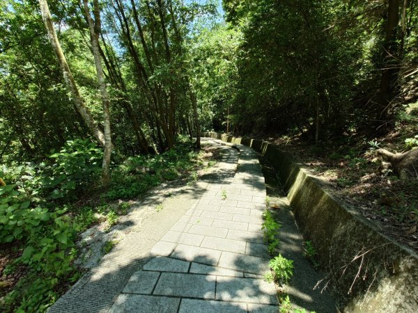 萬年峽谷步道3078765