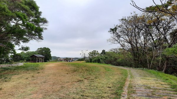 《新竹》城市微旅｜青青草原及香山濕地賞蟹步道202112121547112