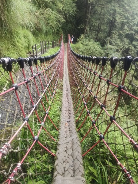 1150728太平山見晴懷古步道3096865