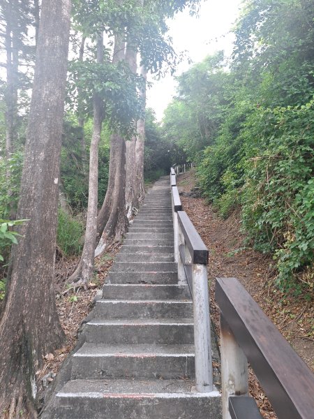 台東鯉魚山11508083115829