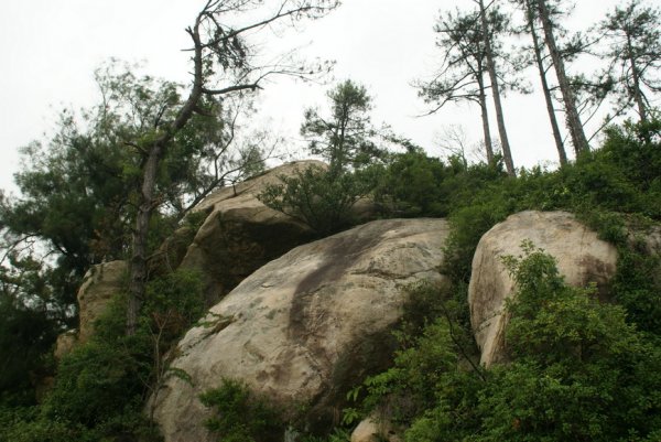 20180601金門太武山1635135