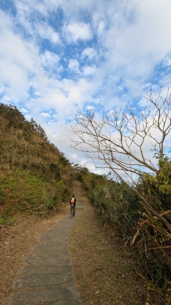 113.11.30頂子寮山-五分山2659727