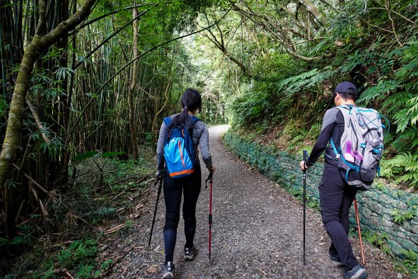 聖母峰 x 三角崙山 x 聖母山莊492981