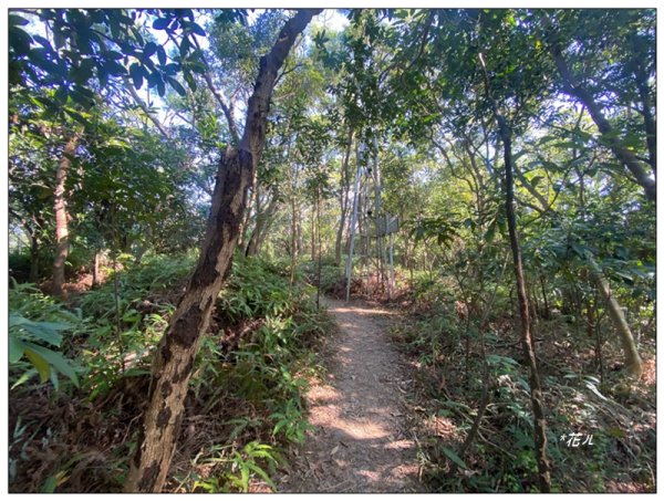 烏尖連峰縱走18基石 ( 唭哩岸山、軍艦岩、丹鳳山 )2980922