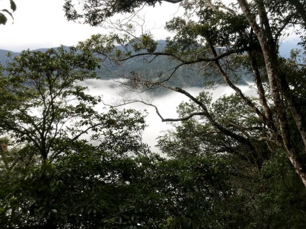 三角湖山-向天湖山-光天高山_O型201903231964263