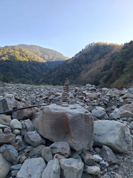 神木村千年樟木202512112959510