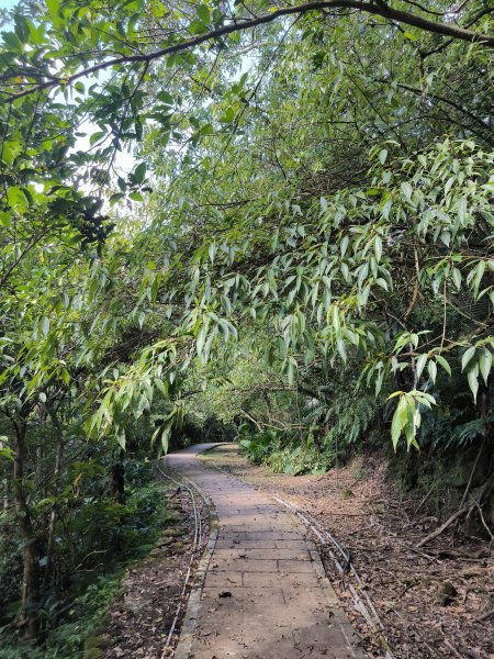 20251010微笑山線：【五分山系】菁桐煤礦段2910191