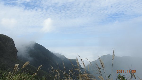 秋高氣爽芒花季 - 陽明山再見雲海1503997