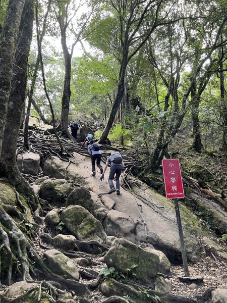 中級山-加里山2636901