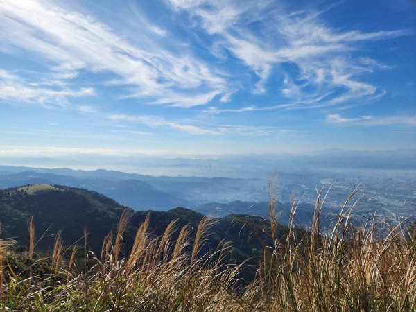 20240219 陽明山西東連峰越野2430020