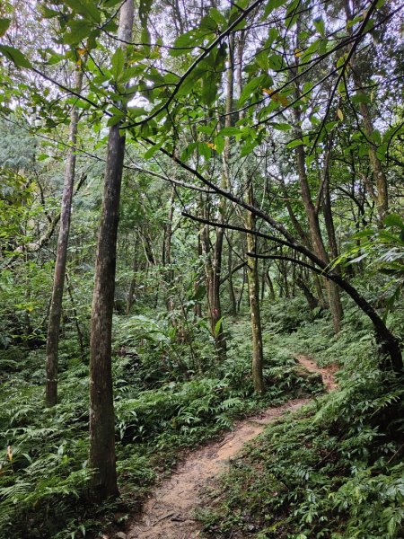 2023.12.14 鵲子山2804608