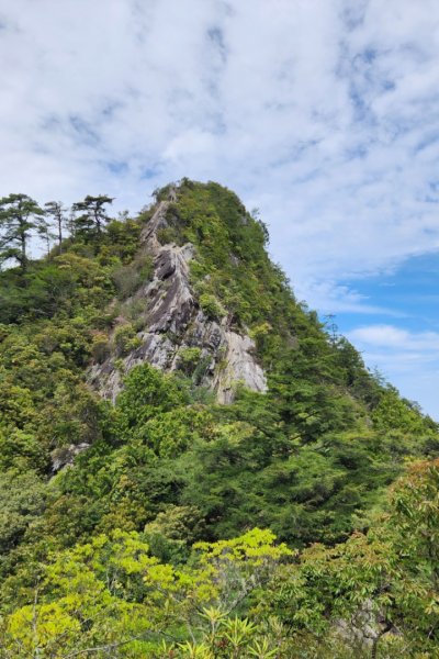 【中級山縱走】最美中級山，鳶嘴西稜縱走（鳶嘴山，醜崠山，長壽山）2741367