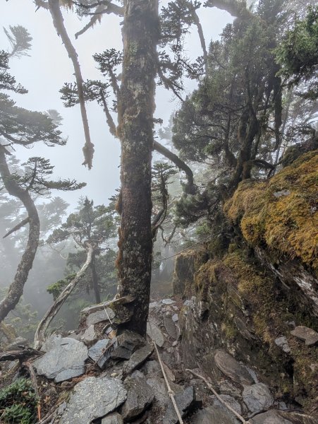 濛濛霧雨之關山補考行2879593