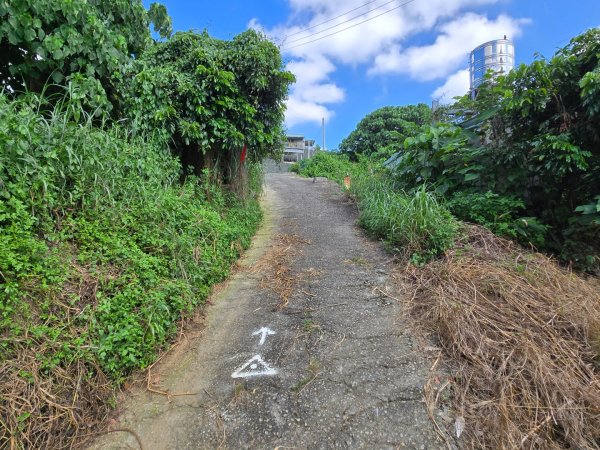 阿罩霧山、中心瓏步道（小百岳）2615702