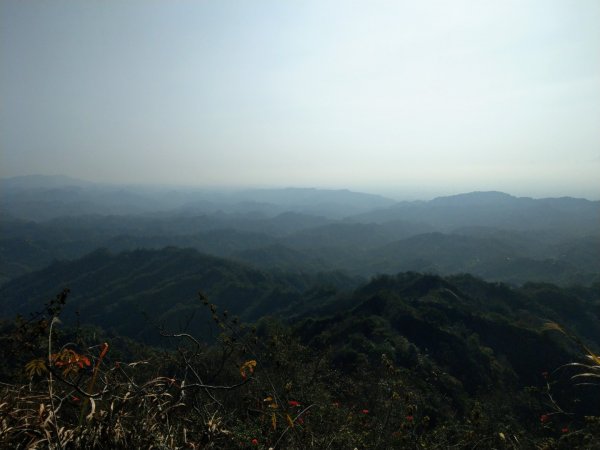 台中大坑4號步道上石苓湖山/黑山/黑山北1251384