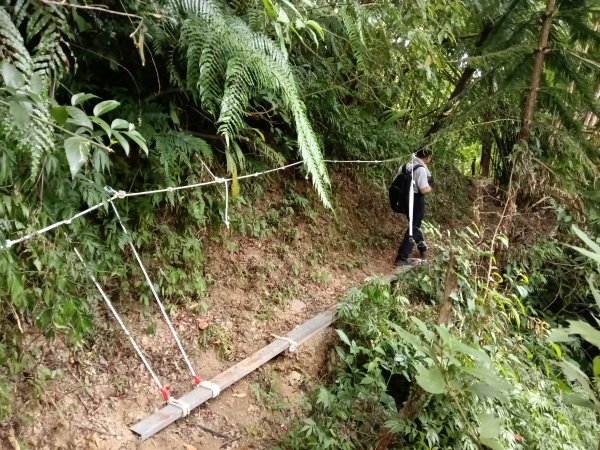 平溪區過火坪古道+枋山坑山+中坑頭鞍部+枋山坑古道+火燒寮古道O型2878601