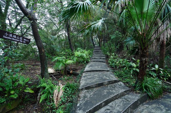 基隆 仁愛 紅淡山、金交椅山2714975