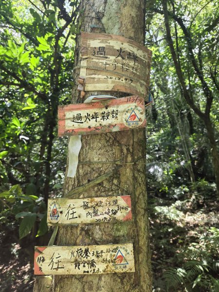 20260531崩山坑古道-山腰古道-中坑古道-仿山坑山-石古井3071906