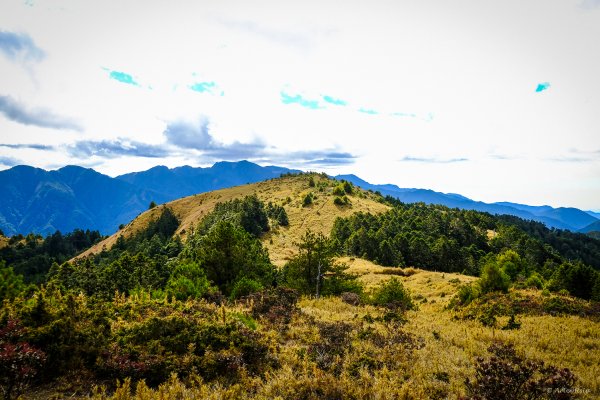 [冬訪大霸聖山岳參行]-榮耀桂冠B'bu' Papak聖稜精選輯2974845