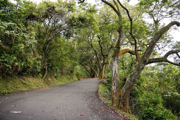 貓囒山小百岳2884984