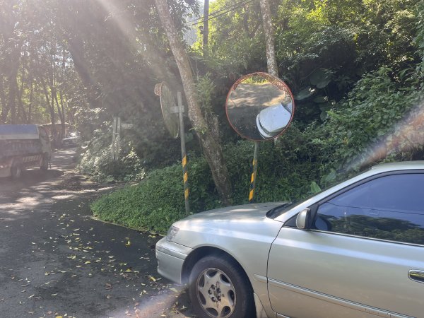 [皮皮獅Hike客任務-07/10] 2024_0831 大山背麒麟步道2586086