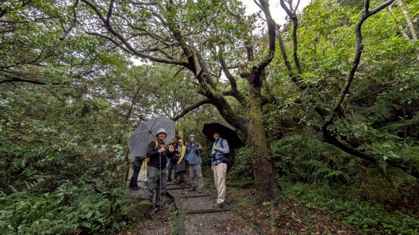 114.11.01旅聯網21週年活動之七星山-七星山東峰-七星公園-夢幻湖2928897