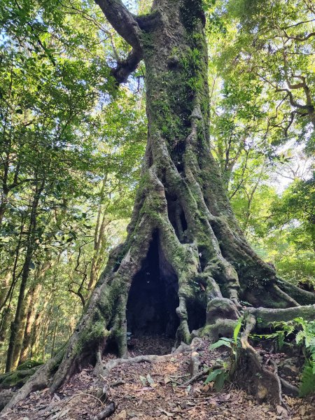 高島縱走2397489