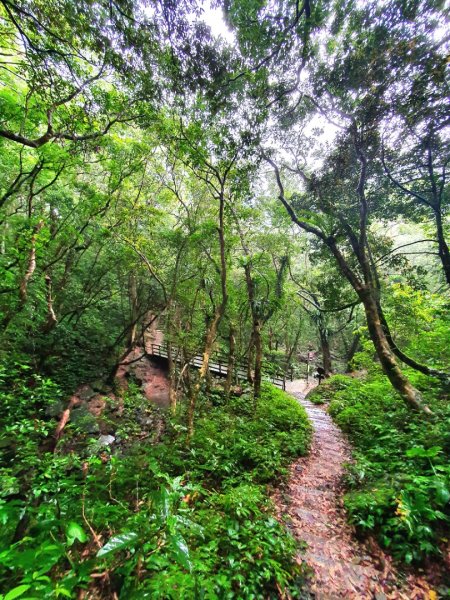 苗栗仙山，新竹九芎湖步道群，桃園熊空南山（組合山），東滿步道，蚋仔溪生態步道，，東麓瀑布1688197