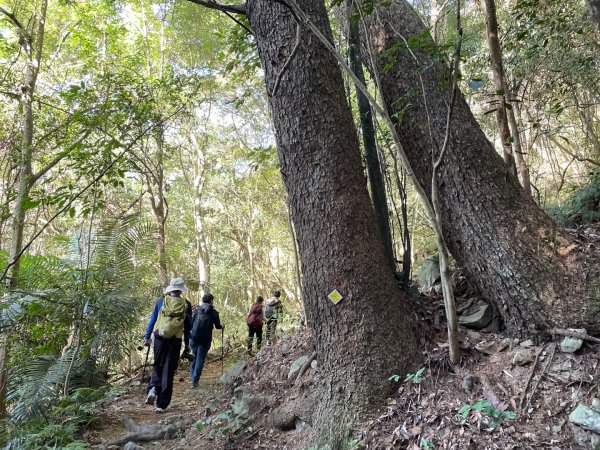 谷關七雄｜一日東屋縱走2923827