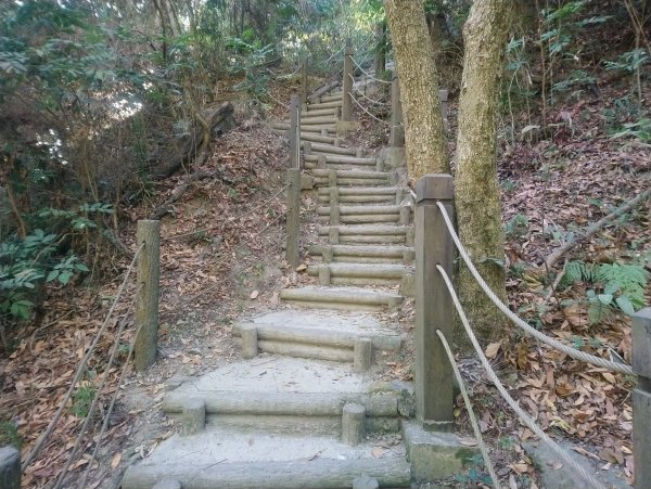 新田五星級登山步道-聚興山 小百岳040755650