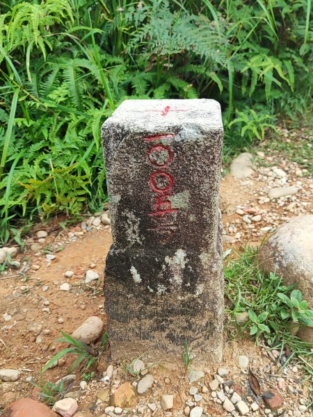 微笑山線：【二格山系】和美山螢火蟲段2834857